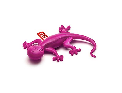 Duftgecko pink, blumig-süß